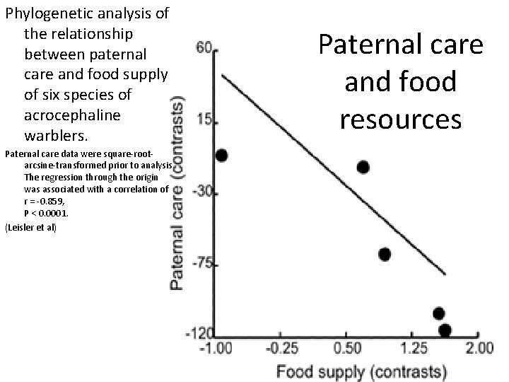 Phylogenetic analysis of the relationship between paternal care and food supply of six species