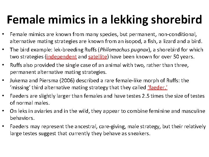 Female mimics in a lekking shorebird • Female mimics are known from many species,