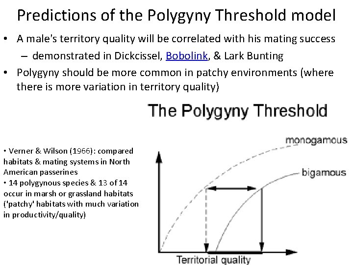 Predictions of the Polygyny Threshold model • A male's territory quality will be correlated