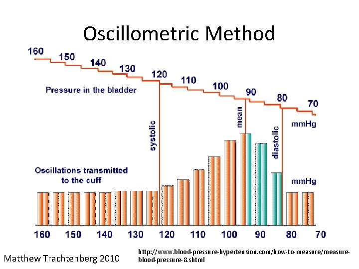 Oscillometric Method Matthew Trachtenberg 2010 http: //www. blood-pressure-hypertension. com/how-to-measure/measureblood-pressure-8. shtml 