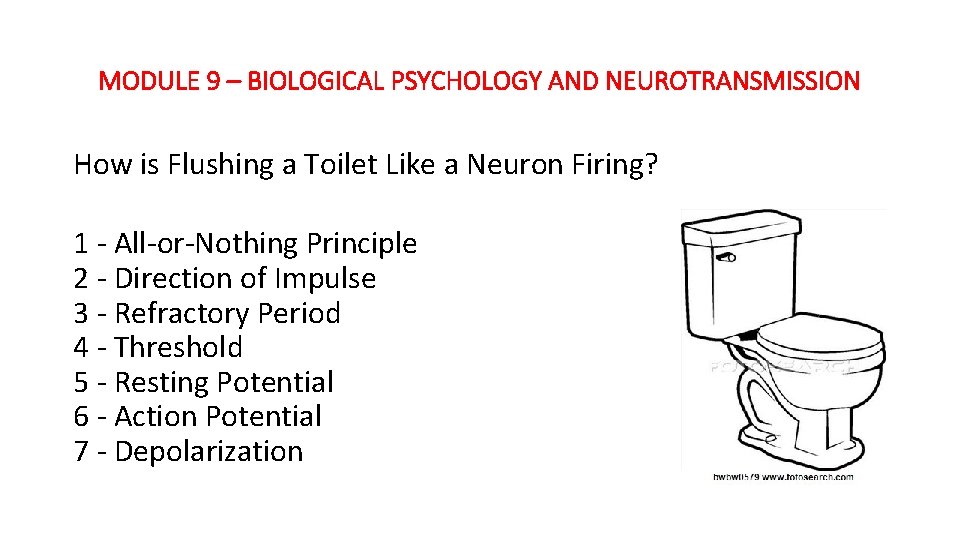 MODULE 9 – BIOLOGICAL PSYCHOLOGY AND NEUROTRANSMISSION How is Flushing a Toilet Like a