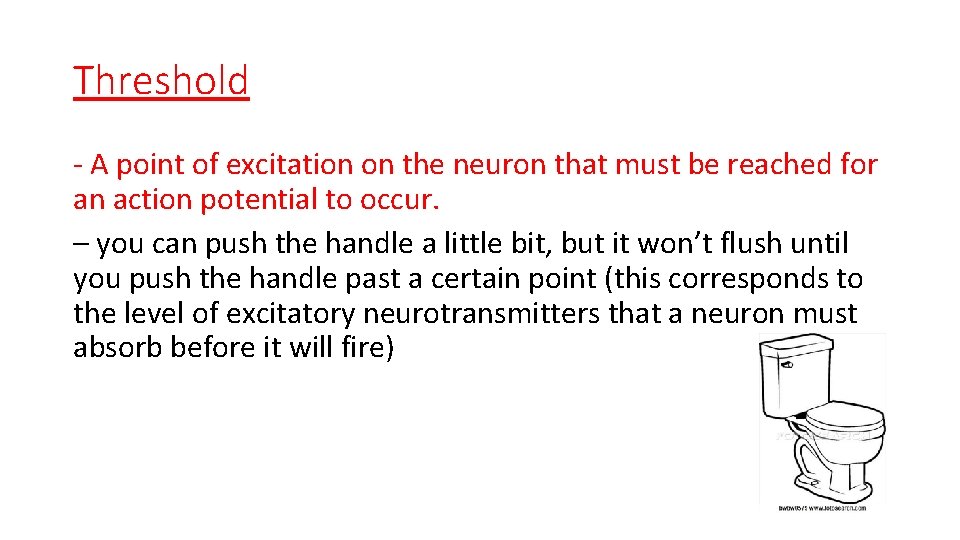 Threshold - A point of excitation on the neuron that must be reached for