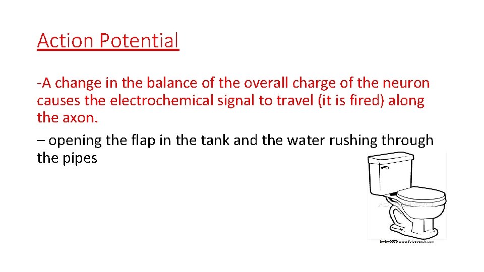 Action Potential -A change in the balance of the overall charge of the neuron