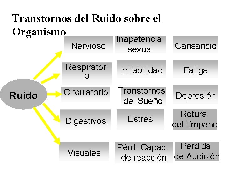 Transtornos del Ruido sobre el Organismo Ruido Nervioso Inapetencia sexual Cansancio Respiratori o Irritabilidad