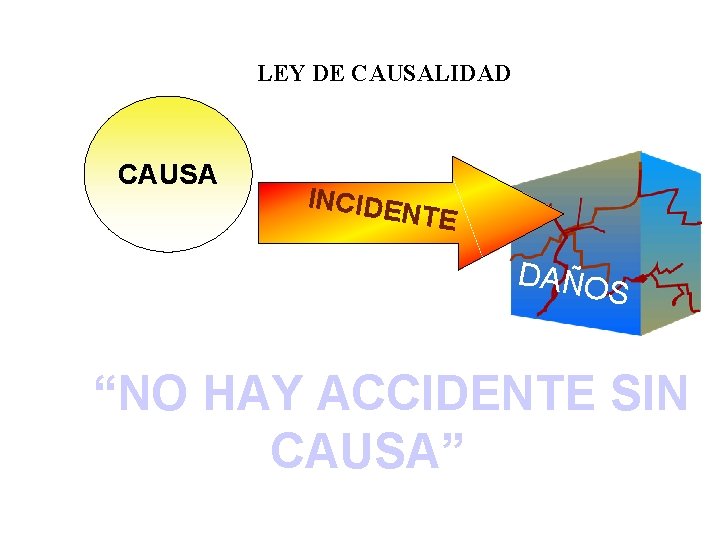 LEY DE CAUSALIDAD CAUSA INCIDE NTE DAÑO S “NO HAY ACCIDENTE SIN CAUSA” 