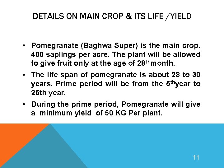 DETAILS ON MAIN CROP & ITS LIFE /YIELD • Pomegranate (Baghwa Super) is the