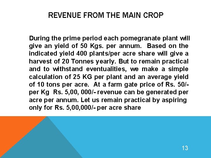REVENUE FROM THE MAIN CROP During the prime period each pomegranate plant will give