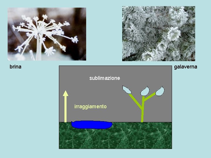 brina galaverna sublimazione irraggiamento Evaporazione diurna 