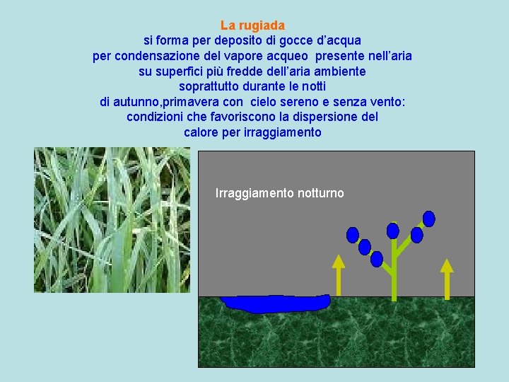 La rugiada si forma per deposito di gocce d’acqua per condensazione del vapore acqueo