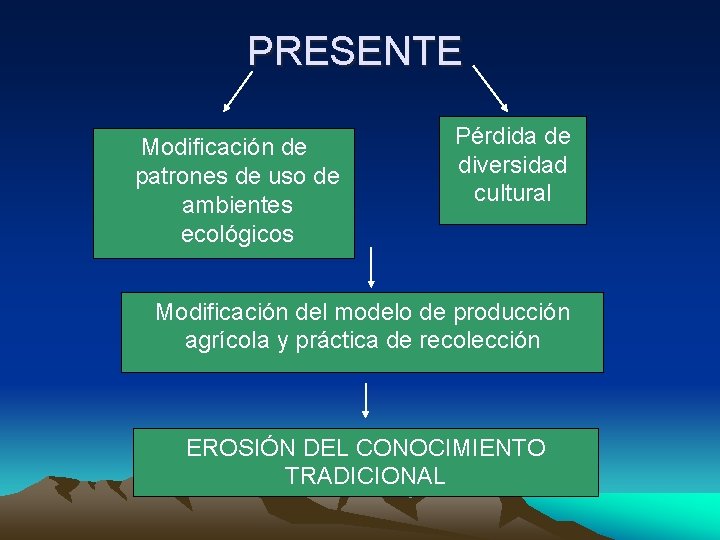 PRESENTE Modificación de patrones de uso de ambientes ecológicos Pérdida de diversidad cultural Modificación