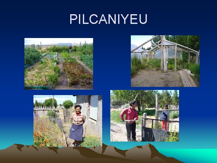 PILCANIYEU 