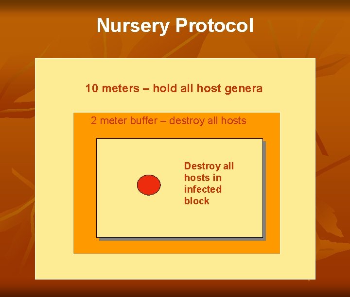 Nursery Protocol 10 meters – hold all host genera 2 meter buffer – destroy