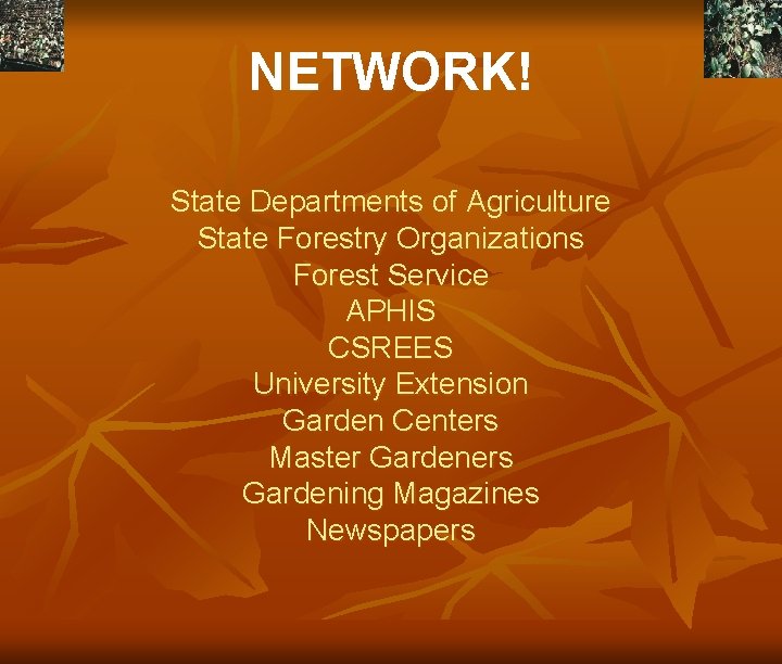 NETWORK! State Departments of Agriculture State Forestry Organizations Forest Service APHIS CSREES University Extension