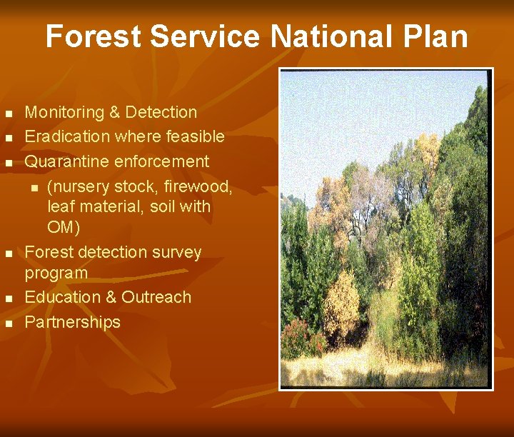 Forest Service National Plan n n n Monitoring & Detection Eradication where feasible Quarantine