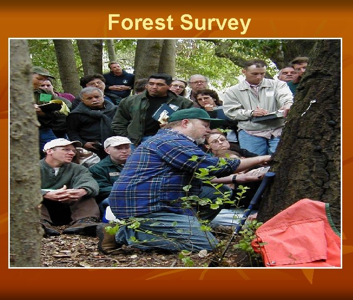 Forest Survey Based on host type, climate, nursery imports 