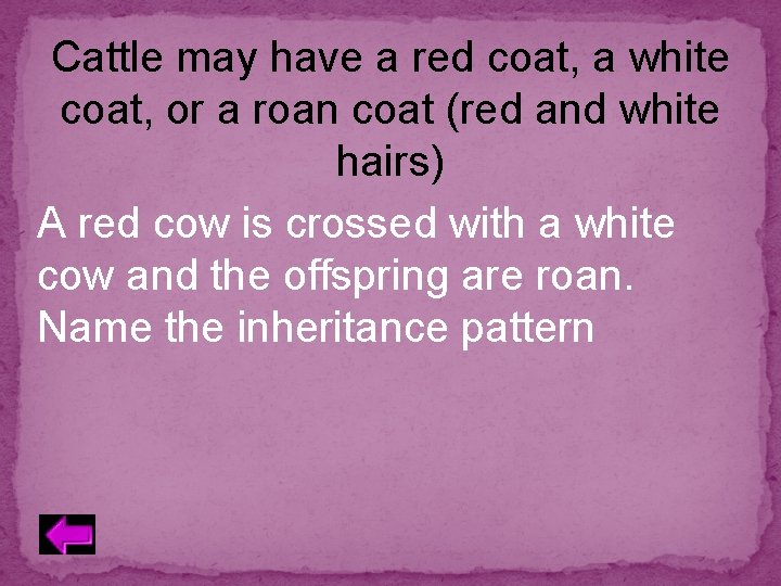 Cattle may have a red coat, a white coat, or a roan coat (red