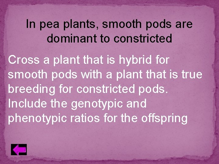 In pea plants, smooth pods are dominant to constricted Cross a plant that is
