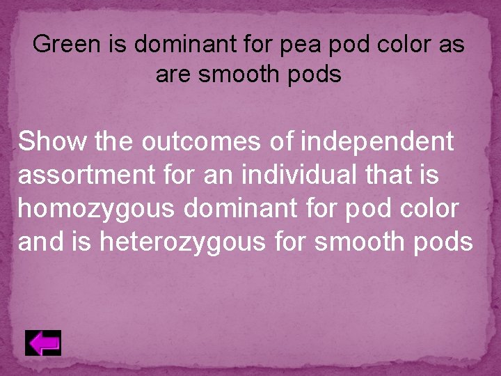 Green is dominant for pea pod color as are smooth pods Show the outcomes