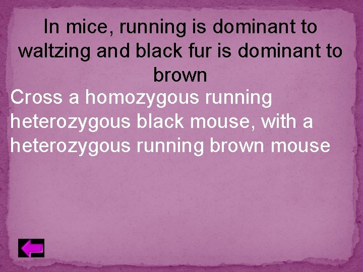 In mice, running is dominant to waltzing and black fur is dominant to brown