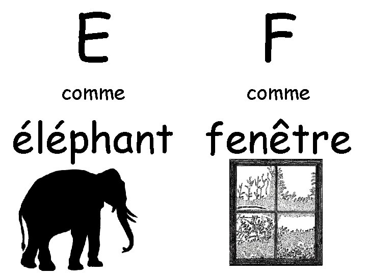 E comme F comme éléphant fenêtre 