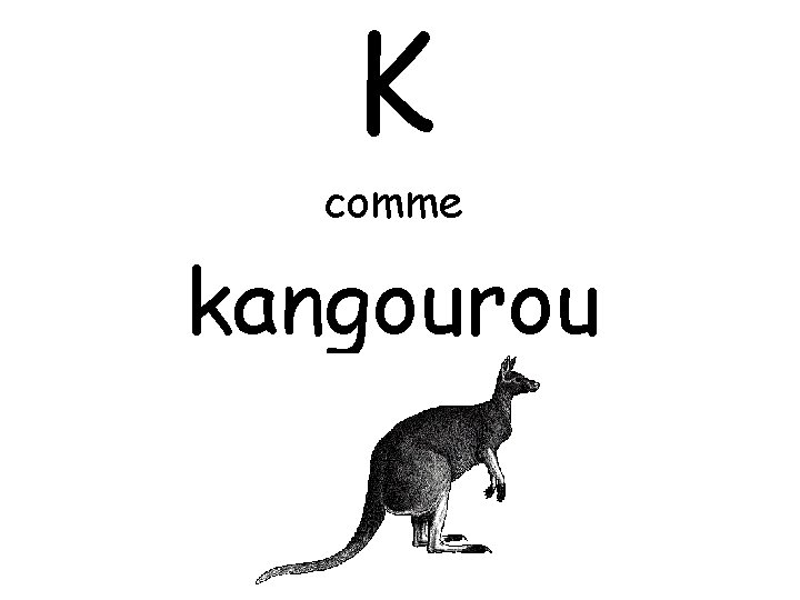 K comme kangourou 