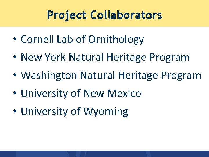 Project Collaborators • Cornell Lab of Ornithology • New York Natural Heritage Program • Project Collaborators • Cornell Lab of Ornithology • New York Natural Heritage Program •