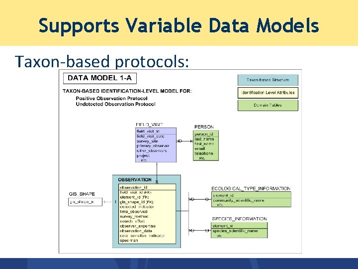 Supports Variable Data Models Taxon-based protocols: Supports Variable Data Models Taxon-based protocols: