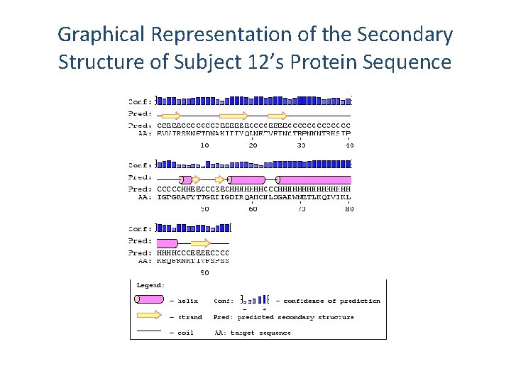 Graphical Representation of the Secondary Structure of Subject 12’s Protein Sequence 