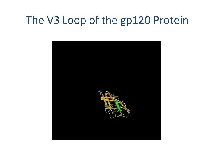 The V 3 Loop of the gp 120 Protein 