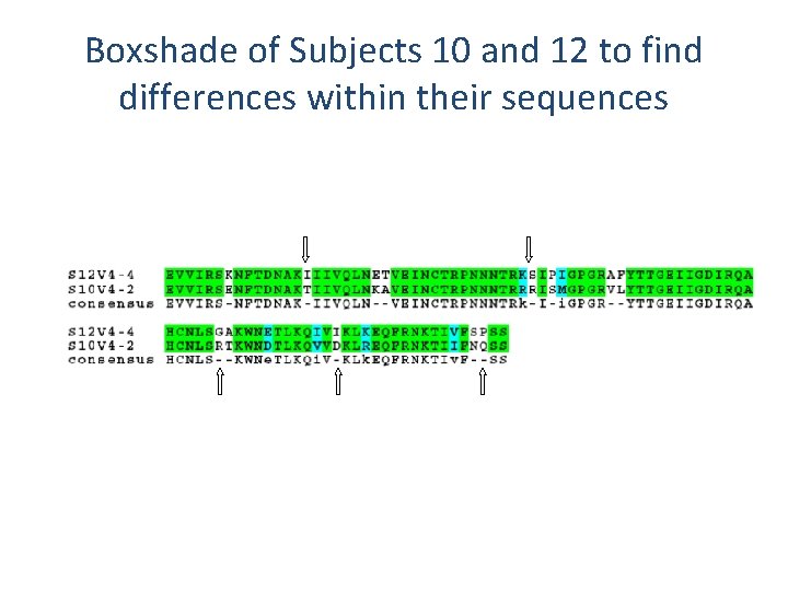 Boxshade of Subjects 10 and 12 to find differences within their sequences 