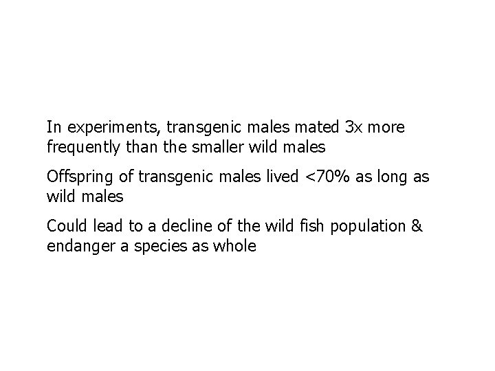 In experiments, transgenic males mated 3 x more frequently than the smaller wild males