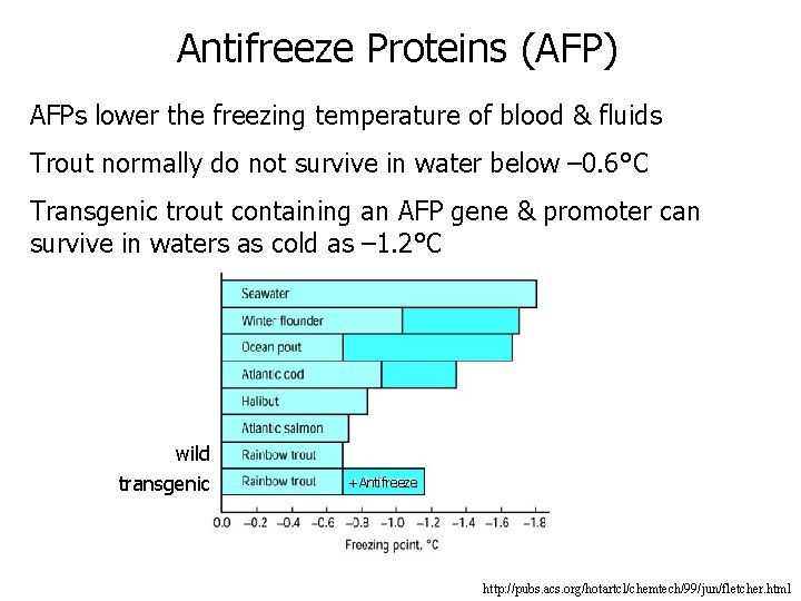 Antifreeze Proteins (AFP) AFPs lower the freezing temperature of blood & fluids Trout normally