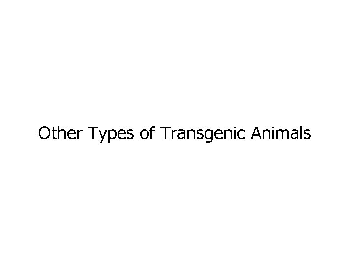 Other Types of Transgenic Animals 