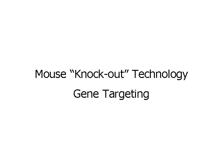 Mouse “Knock-out” Technology Gene Targeting 
