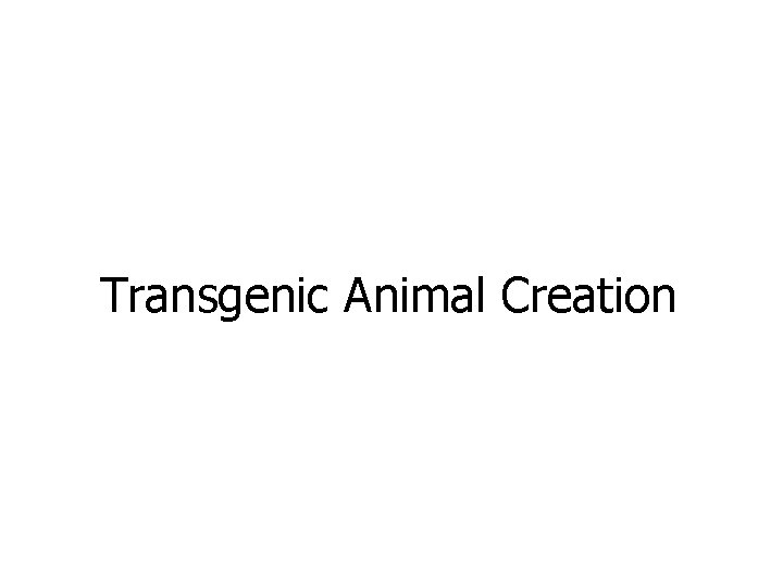 Transgenic Animal Creation 