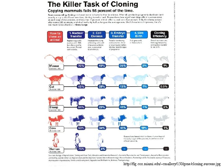 http: //fig. cox. miami. edu/~cmallery/150/gene/cloning. success. jpg 