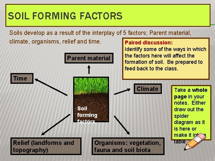 SOIL FORMING FACTORS Soils develop as a result of the interplay of 5 factors;