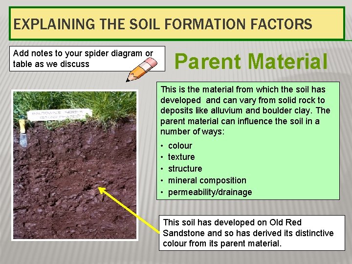 EXPLAINING THE SOIL FORMATION FACTORS Add notes to your spider diagram or table as