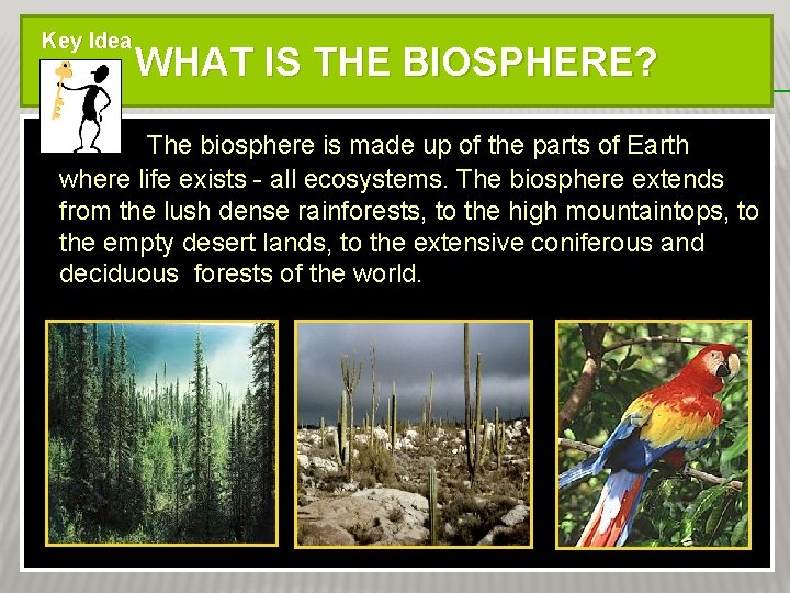 Key Idea WHAT IS THE BIOSPHERE? The biosphere is made up of the parts