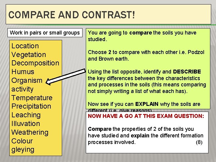 COMPARE AND CONTRAST! Work in pairs or small groups Location Vegetation Decomposition Humus Organism