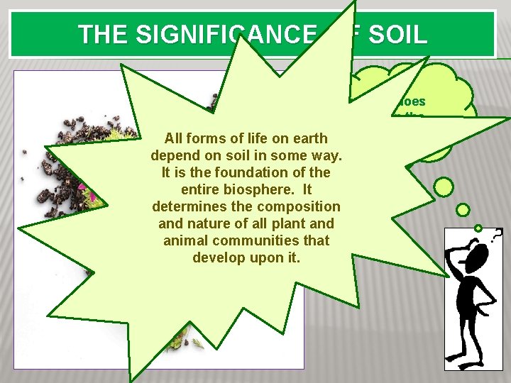 THE SIGNIFICANCE OF SOIL What role does soil play in the biosphere? All forms