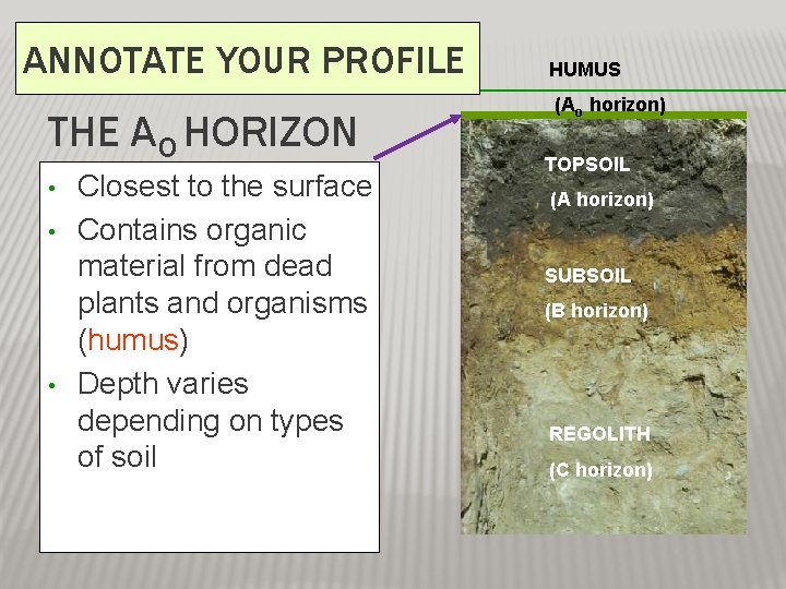 ANNOTATE YOUR PROFILE THE AO HORIZON • • • Closest to the surface Contains