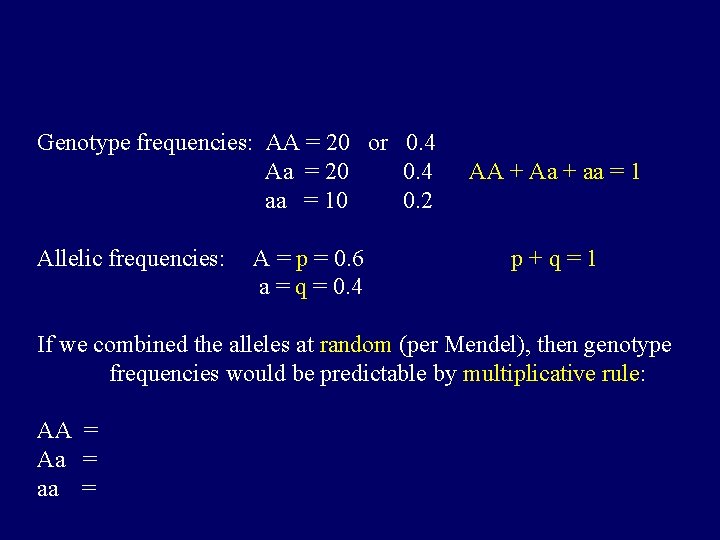 Genotype frequencies: AA = 20 or 0. 4 Aa = 20 0. 4 aa