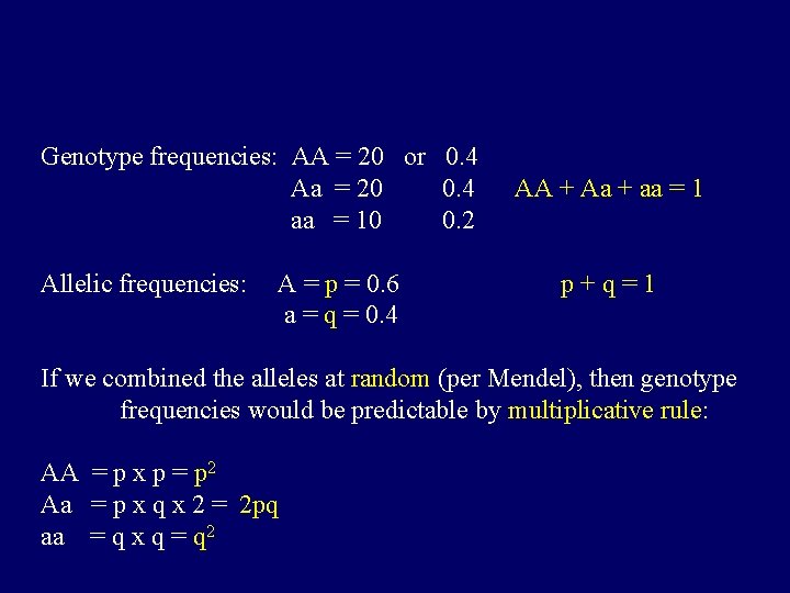 Genotype frequencies: AA = 20 or 0. 4 Aa = 20 0. 4 aa