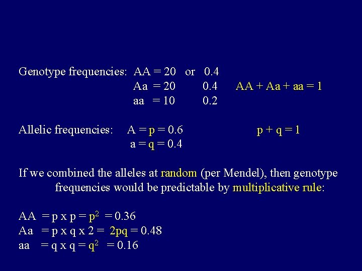 Genotype frequencies: AA = 20 or 0. 4 Aa = 20 0. 4 aa