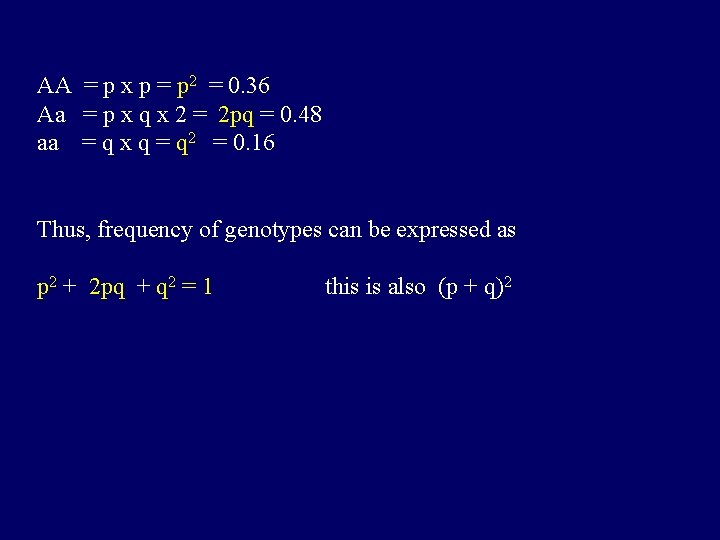 AA = p x p = p 2 = 0. 36 Aa = p