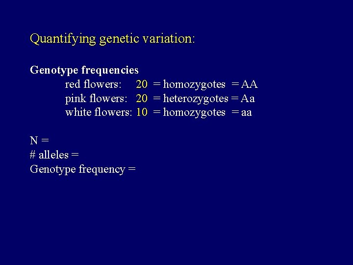 Quantifying genetic variation: Genotype frequencies red flowers: 20 = homozygotes = AA pink flowers: