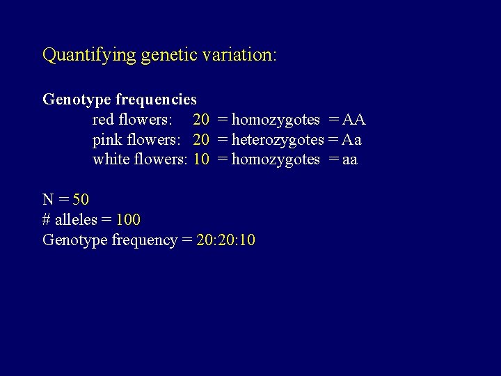 Quantifying genetic variation: Genotype frequencies red flowers: 20 = homozygotes = AA pink flowers: