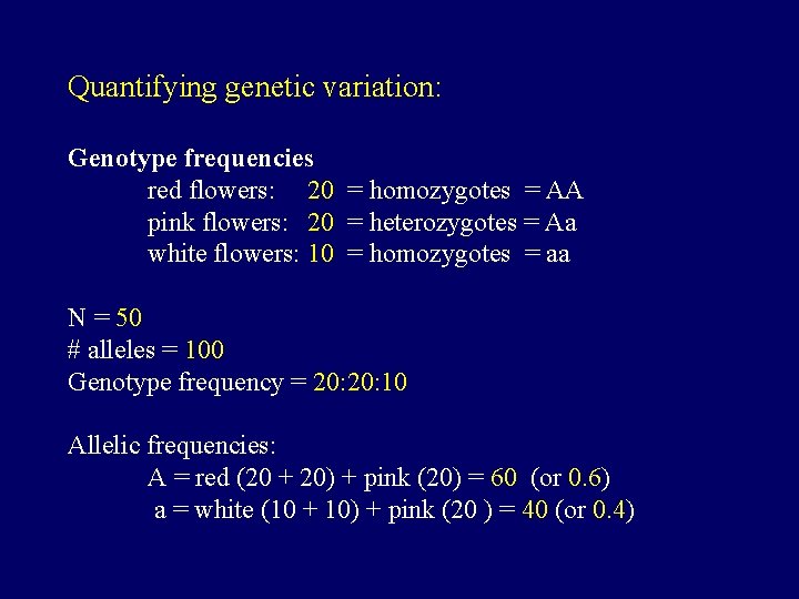 Quantifying genetic variation: Genotype frequencies red flowers: 20 = homozygotes = AA pink flowers: