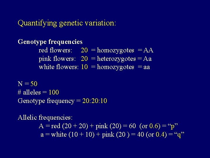 Quantifying genetic variation: Genotype frequencies red flowers: 20 = homozygotes = AA pink flowers: